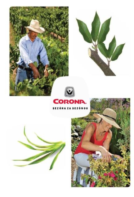 0000000597-corona-katalog-noznice-skladom-email-2014-page-003.jpg